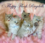 Bat's Litter 7.15.2022