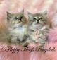 Blue Lynx Mink Girls - SOLD