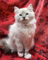 Elsa Blue Mitted Girl - SOLD