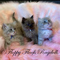 Bexley's Sepia Babies - SOLD
